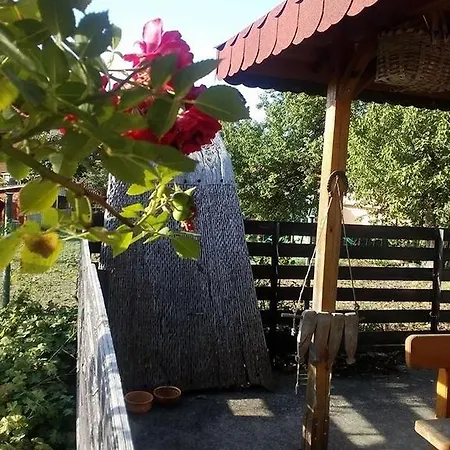 Prestoi * Trjawna