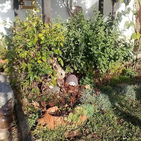 Ferienhaus Prestoi *