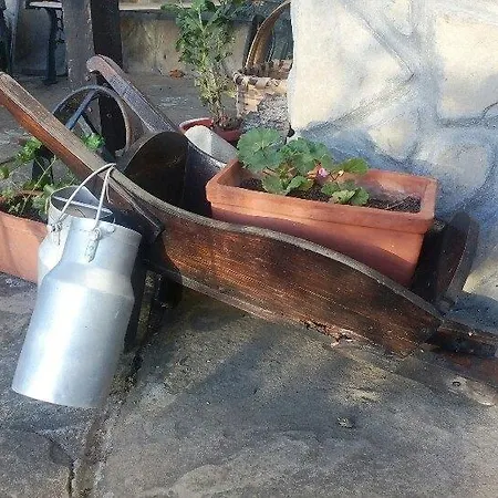 Ferienhaus Prestoi Trjawna