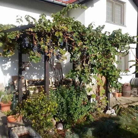 Prestoi * Trjawna
